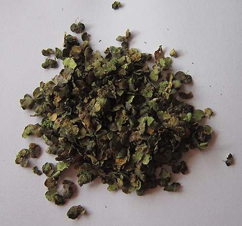 Лекарственные травы  Лекарственные травы